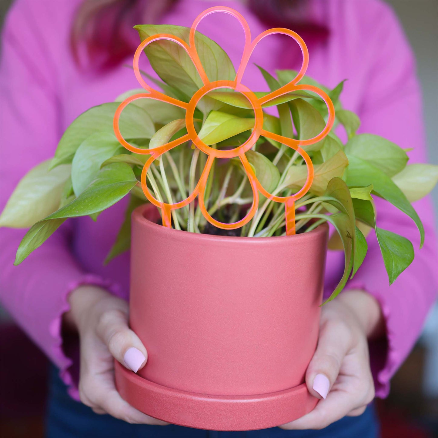 Fluorescent Flower — Acrylic Trellis (Plant Stake Support) — Pink, Yellow