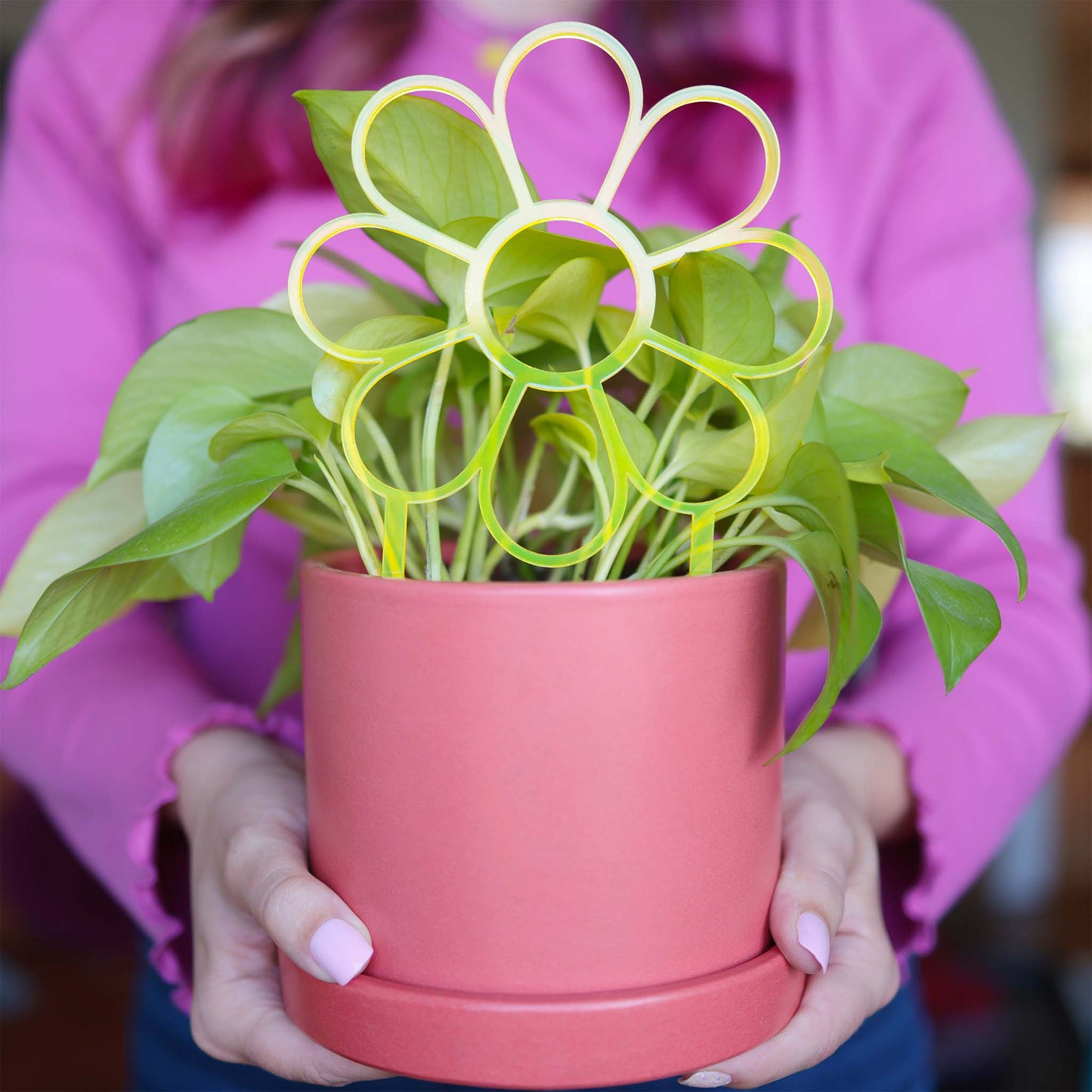 Fluorescent Flower — Acrylic Trellis (Plant Stake Support) — Pink, Yellow